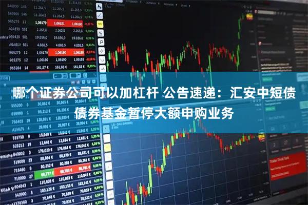 哪个证券公司可以加杠杆 公告速递：汇安中短债债券基金暂停大额申购业务