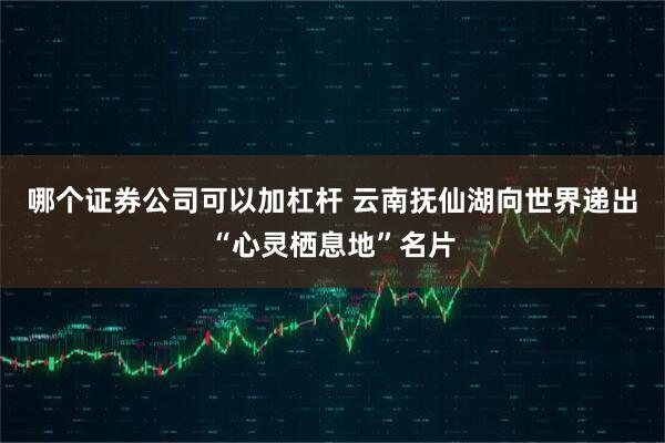哪个证券公司可以加杠杆 云南抚仙湖向世界递出“心灵栖息地”名片
