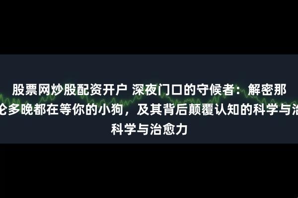 股票网炒股配资开户 深夜门口的守候者：解密那只无论多晚都在等你的小狗，及其背后颠覆认知的科学与治愈力