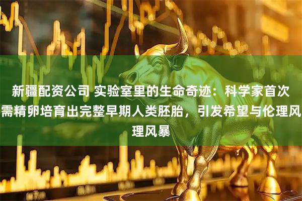 新疆配资公司 实验室里的生命奇迹：科学家首次无需精卵培育出完整早期人类胚胎，引发希望与伦理风暴